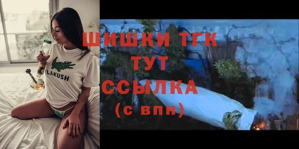 дживик Осташков