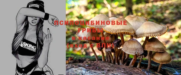 молекула духа Абинск
