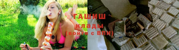 индика Костерёво