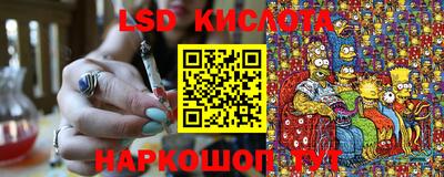 хмурый Кингисепп