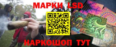 хмурый Кингисепп
