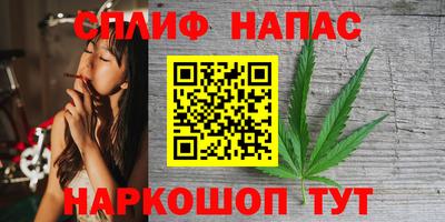 стафф Кинель