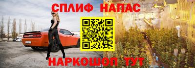 дмт Кимры