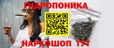 хмурый Кингисепп