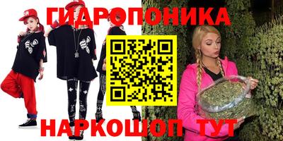 дмт Кимры