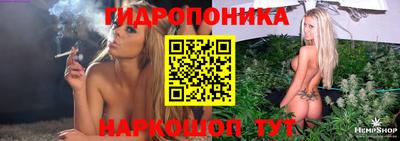 дмт Кимры