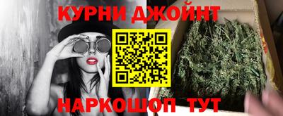 хмурый Кингисепп