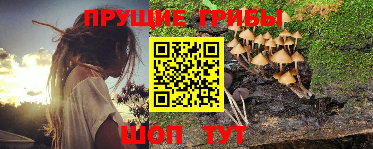 Лангепас  Псилоцибиновые грибы GOLDEN TEACHER  Вход с VPN 