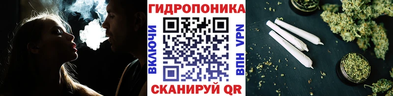 Каннабис сатива  Лангепас 